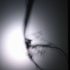 groundless3