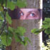 observed1