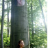 observed3